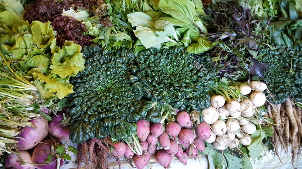 生物多様性を考える現地ツアーと味わう会