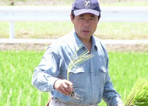kuriya10周年特別企画　武富勝彦氏による料理とお話会