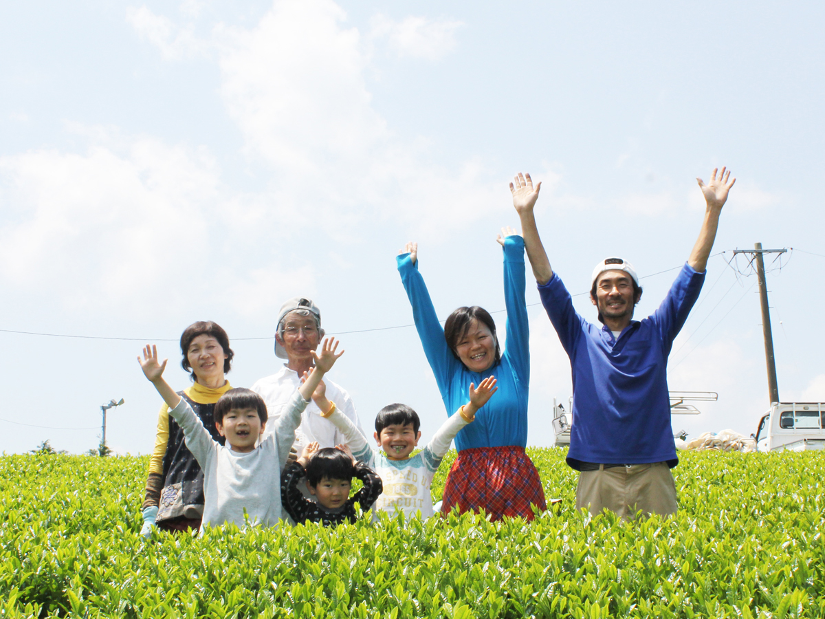 〈横田茶園〉の自然栽培茶