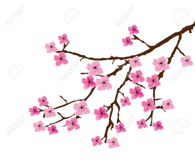 4桜